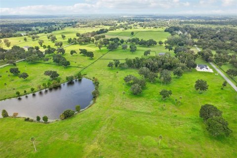 Terreno en venta en Summerfield, Florida № 1334812 - foto 30