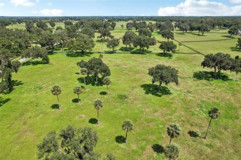 Terreno en venta en Summerfield, Florida № 1334812 - foto 12