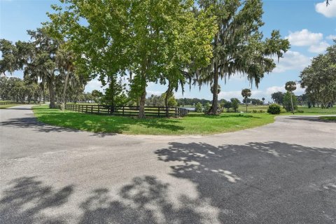 Terreno en venta en Summerfield, Florida № 1334812 - foto 3