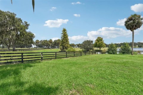 Land in Summerfield, Florida № 1334812 - photo 8