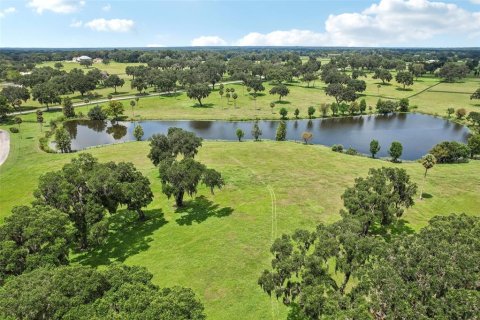 Land in Summerfield, Florida № 1334812 - photo 16