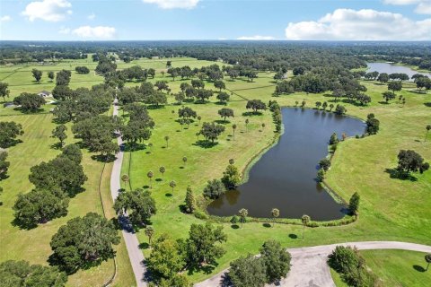 Land in Summerfield, Florida № 1334812 - photo 10