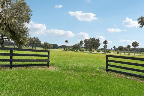 Terrain à vendre à Summerfield, Floride № 1334812 - photo 6