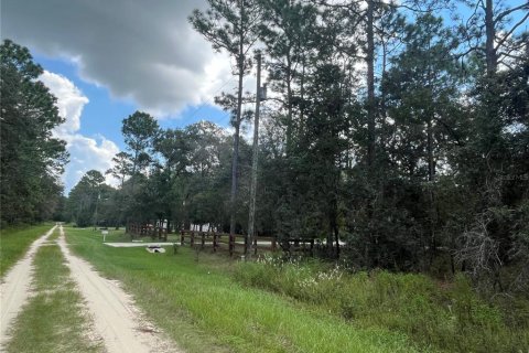 Terreno en venta en Dunnellon, Florida № 1371597 - foto 6