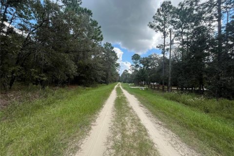 Terreno en venta en Dunnellon, Florida № 1371597 - foto 8