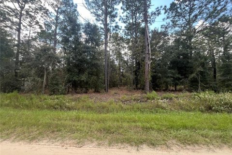 Land in Dunnellon, Florida № 1371597 - photo 1