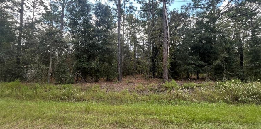 Land in Dunnellon, Florida № 1371597