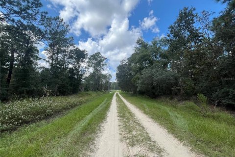 Terreno en venta en Dunnellon, Florida № 1371597 - foto 7