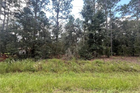 Land in Dunnellon, Florida № 1371597 - photo 4