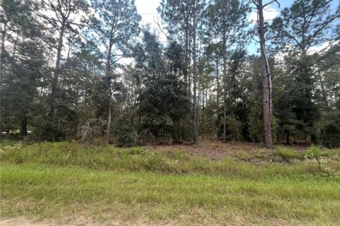 Terreno en venta en Dunnellon, Florida № 1371597 - foto 2