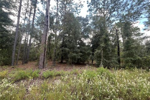 Terreno en venta en Dunnellon, Florida № 1371597 - foto 5