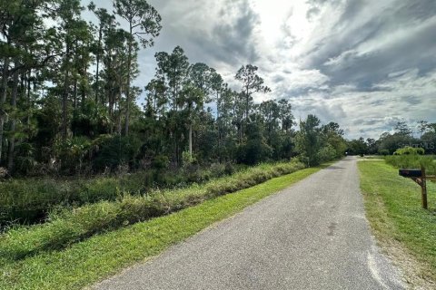 Terreno en venta en Geneva, Florida № 1371960 - foto 2