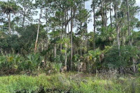 Terreno en venta en Geneva, Florida № 1371960 - foto 6