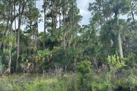 Terreno en venta en Geneva, Florida № 1371960 - foto 1