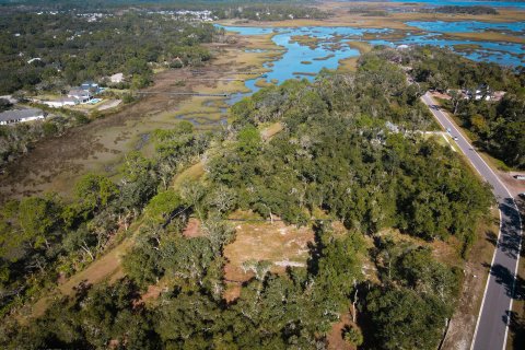 Land in Saint Augustine, Florida № 850838 - photo 7