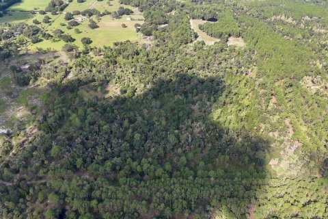 Terrain à vendre à Inglis, Floride № 1376741 - photo 6