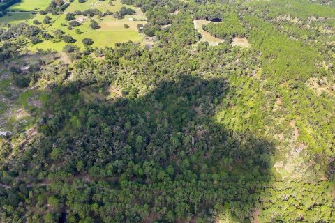 Land in Inglis, Florida № 1376741 - photo 5