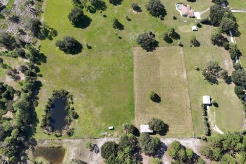 Land in Inglis, Florida № 1376741 - photo 2