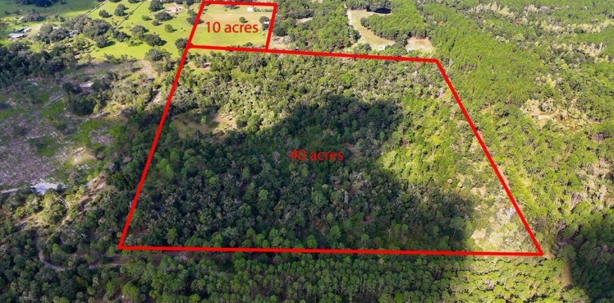 Land in Inglis, Florida № 1376741