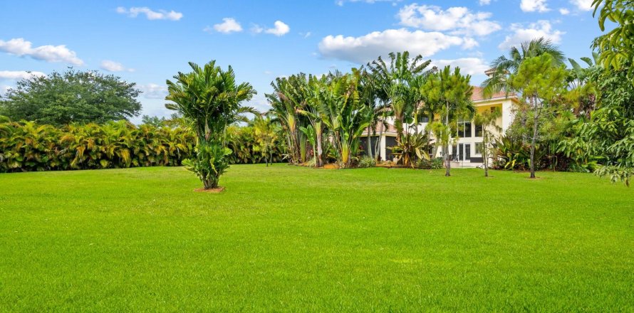 Villa ou maison à Davie, Floride 6 chambres, 563.92 m2 № 1182018