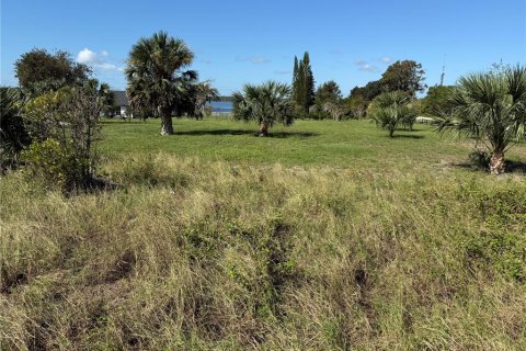 Terreno en venta en Astatula, Florida № 1403602 - foto 2