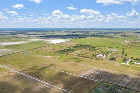 Land in Myakka City, Florida № 1250379 - photo 14