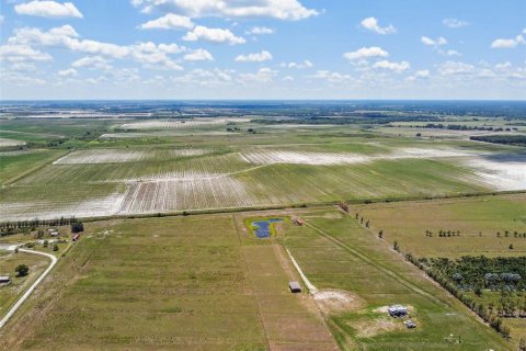 Land in Myakka City, Florida № 1250379 - photo 24