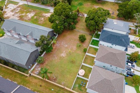Купить земельный участок в Тампа, Флорида № 856731 - фото 2