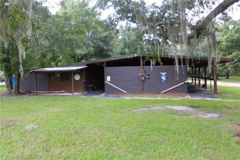 Terreno en venta en Williston, Florida № 1373438 - foto 14