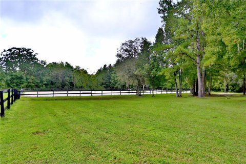 Terreno en venta en Williston, Florida № 1373438 - foto 11