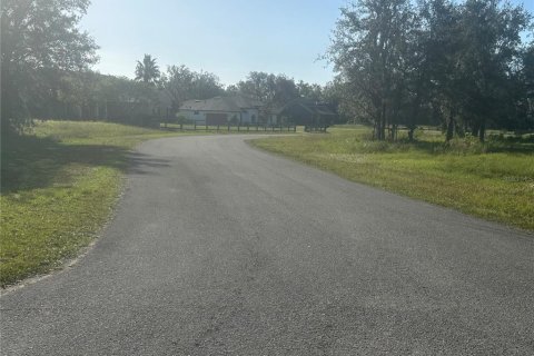 Terreno en venta en Clermont, Florida № 1433890 - foto 4