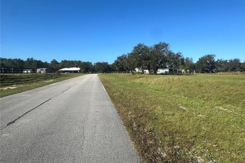 Terreno en venta en Clermont, Florida № 1433890 - foto 12