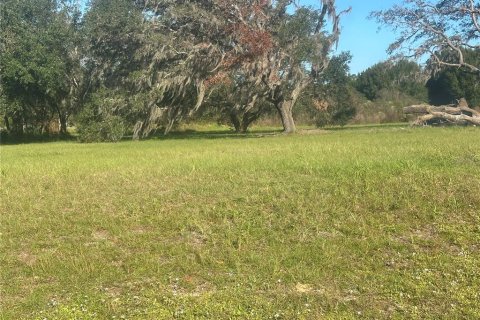 Terreno en venta en Clermont, Florida № 1433890 - foto 10