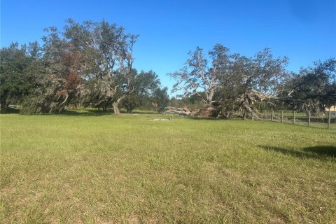 Terreno en venta en Clermont, Florida № 1433890 - foto 6