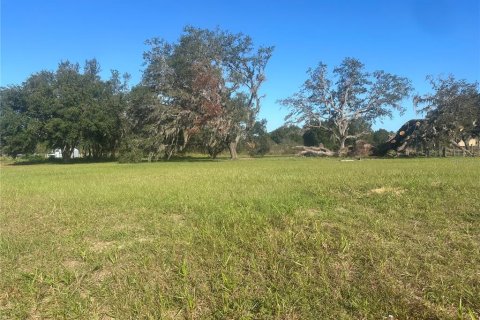 Terreno en venta en Clermont, Florida № 1433890 - foto 9