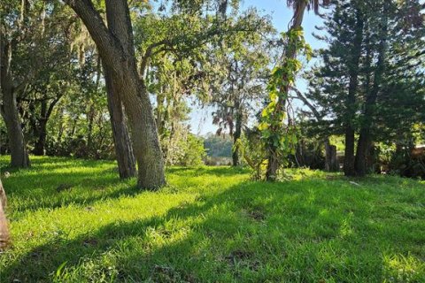 Land in Hudson, Florida № 1339719 - photo 10