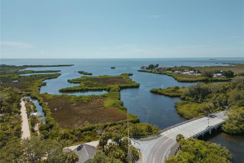 Land in Hudson, Florida № 1339719 - photo 7