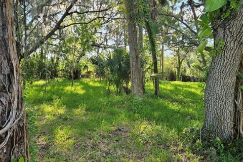 Terrain à vendre à Hudson, Floride № 1339719 - photo 11