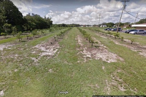 Купить земельный участок в Себринг, Флорида № 687899 - фото 1