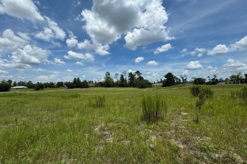 Terrain à vendre à Ocala, Floride № 1400411 - photo 4