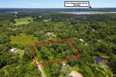 Terreno en venta en Webster, Florida № 1373756 - foto 2