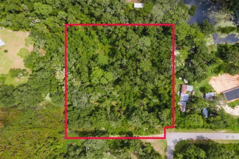 Land in Webster, Florida № 1373756 - photo 1