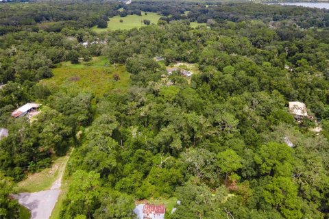 Terreno en venta en Webster, Florida № 1373756 - foto 7