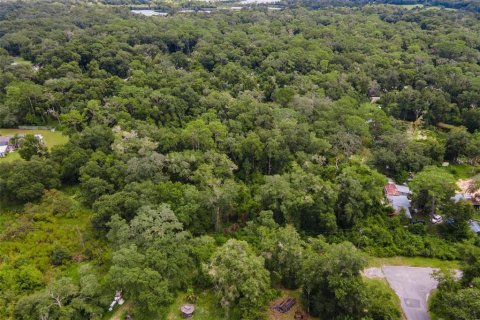 Terreno en venta en Webster, Florida № 1373756 - foto 6