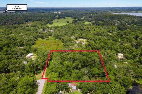 Terreno en venta en Webster, Florida № 1373756 - foto 3