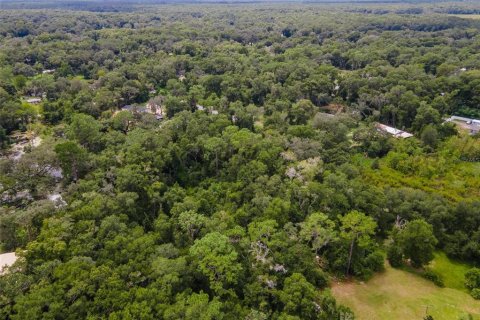 Land in Webster, Florida № 1373756 - photo 11