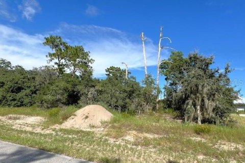 Terrain à vendre à Poinciana, Floride № 1357377 - photo 1