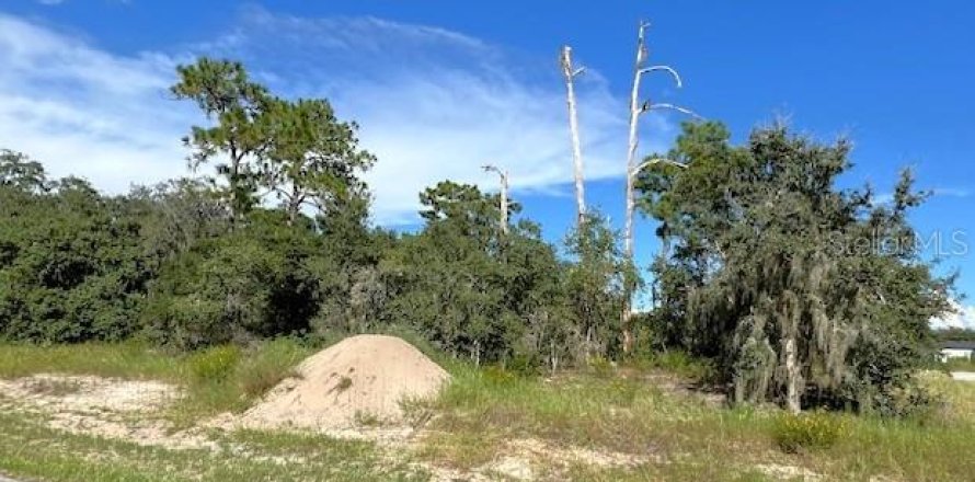 Terrain à Poinciana, Floride № 1357377