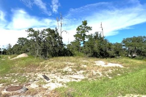 Terrain à vendre à Poinciana, Floride № 1357377 - photo 2