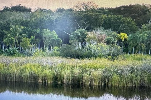 Land in Okeechobee, Florida № 956913 - photo 1